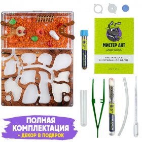 Муравьиная ферма Медиум "Дерево" (ПОЛНЫЙ КОМПЛЕКТ) Муравьиная ферма Медиум "Дерево" (ПОЛНЫЙ КОМПЛЕКТ)