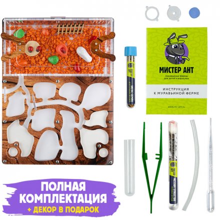 Муравьиная ферма Медиум "Дерево" (ПОЛНЫЙ КОМПЛЕКТ)