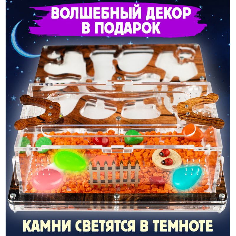 Муравьиная ферма Медиум "Дерево" (ПОЛНЫЙ КОМПЛЕКТ) Муравьиная ферма Медиум "Дерево" (ПОЛНЫЙ КОМПЛЕКТ)