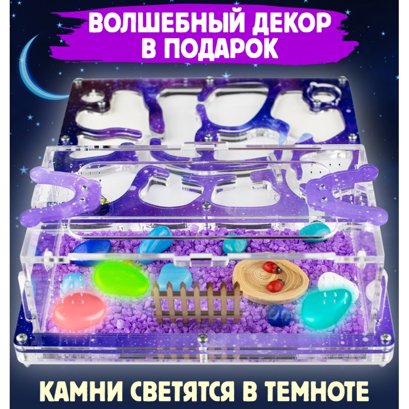 Муравьиная ферма Медиум "Космос" (ПОЛНЫЙ КОМПЛЕКТ) Муравьиная ферма Медиум "Космос" (ПОЛНЫЙ КОМПЛЕКТ)