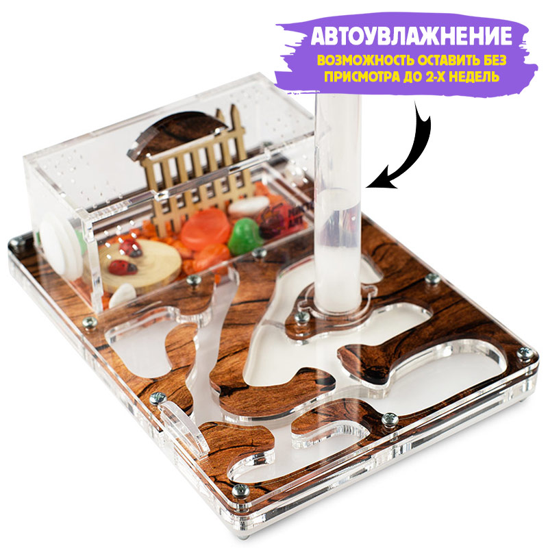 Муравьиная ферма Мини "Дерево" (ПОЛНЫЙ КОМПЛЕКТ) Муравьиная ферма Мини "Дерево" (ПОЛНЫЙ КОМПЛЕКТ)
