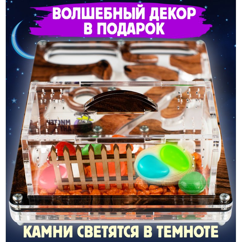 Муравьиная ферма Мини "Дерево" (ПОЛНЫЙ КОМПЛЕКТ) Муравьиная ферма Мини "Дерево" (ПОЛНЫЙ КОМПЛЕКТ)