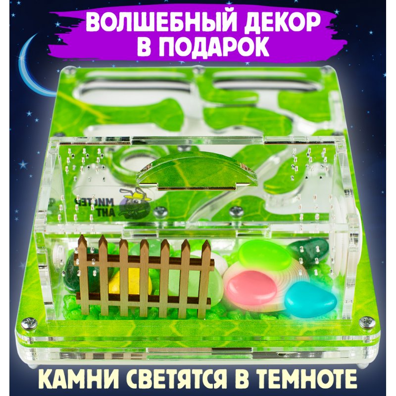 Формикарий Мини “Зеленый лист” Формикарий Мини “Зеленый лист”