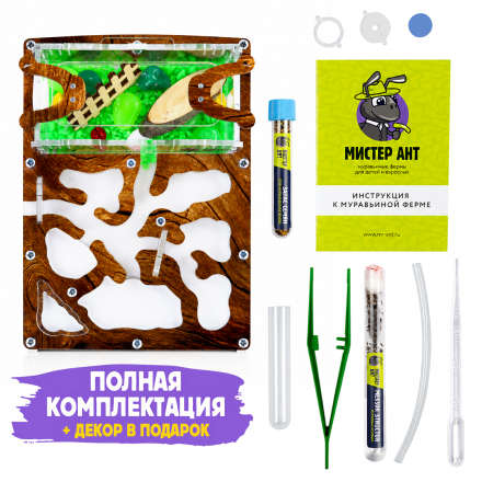 Муравьиная ферма Мини "Дерево" (ПОЛНЫЙ КОМПЛЕКТ) Муравьиная ферма Мини "Дерево" (ПОЛНЫЙ КОМПЛЕКТ)